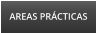 AREAS PR�CTICAS
