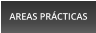 AREAS PR�CTICAS